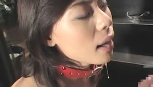 JAV amazing japanese chick dick sucking