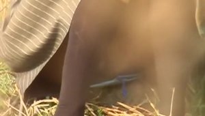 Plowing hard starring hairy asian amateur