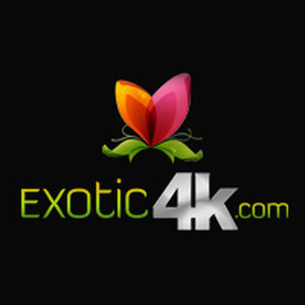 Exotic 4K Logo
